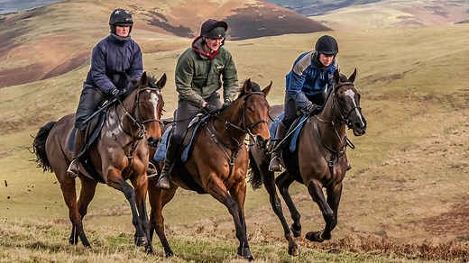 The benefits of hillwork for horses: everything you need to know