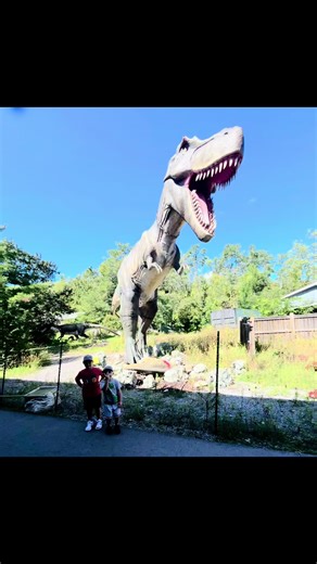 Visiting the Dinosaur Park: A Priceless Experience