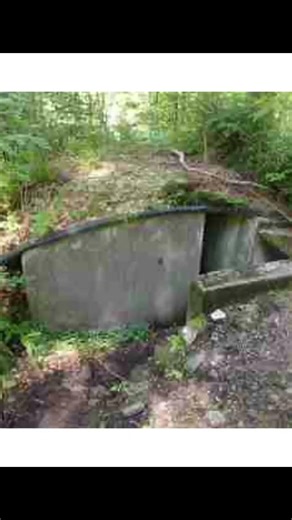 BUNKER C2N