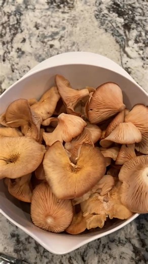 Looks like a mushroom pasta/marinara might be in my future. | Mike Ryals
