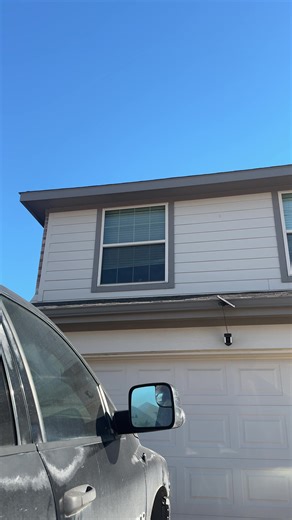 Sunbathing Bearded Dragon Observes the Outdoors