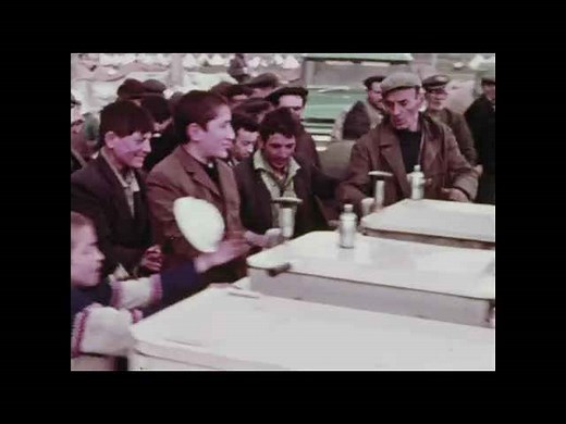 Earthquake Science: Understanding P-waves, S-waves, and Magnitude