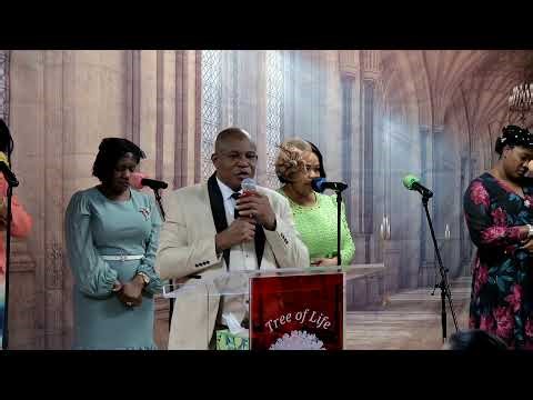 Tree Of Life Baptist Church