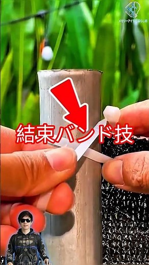 結束バンド強力固定