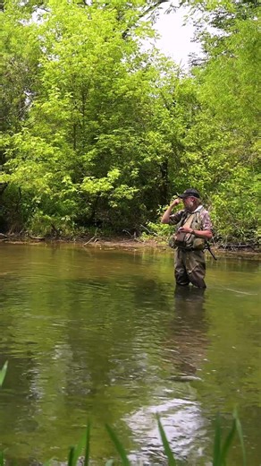 How do you catch the trout fish out of a pool?