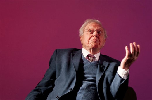David Attenborough new show likely his last shot on location
