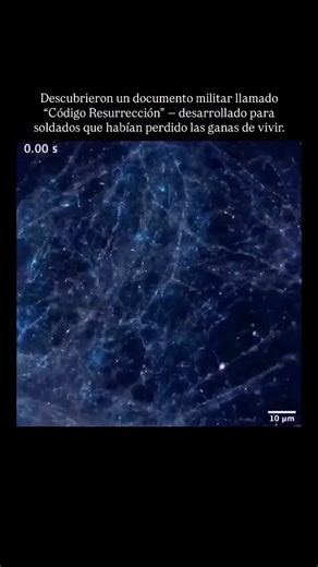 Tenent | Transformación on Instagram: "1️⃣ En 1987, se realizó un experimento militar confidencial: soldados emocionalmente destruidos fueron expuestos a una secuencia de estímulos neuronales — frecuencias calculadas, respiración controlada y visualizaciones dirigidas. Muchos relataron un “despertar brutal”, como si algo dormido hubiera sido reactivado. Algunos dijeron que, por primera vez en años, sintieron que valía la pena luchar — no solo sobrevivir, sino realmente vivir. 2️⃣ Semanas después