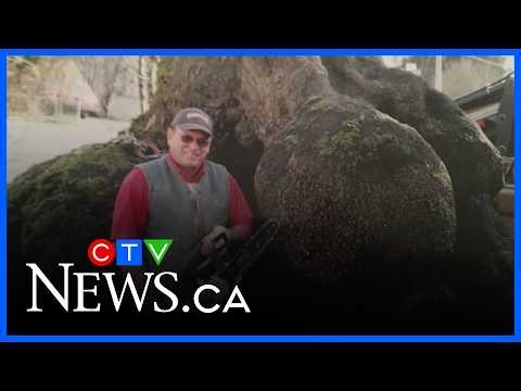 Sawatsky Sign-Off: Burl Shack