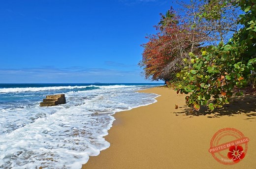 Steps Beach - Reserva Marina Tres Palmas, Rincon Puerto Rico - 2024 Guide