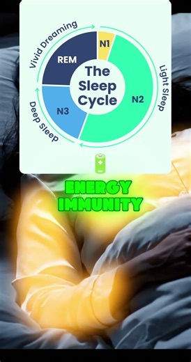 What Happens to Your Brain While You Sleep?