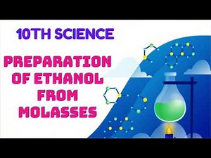 How to prepare ethanol from molasses |TNSCERT 10TH science