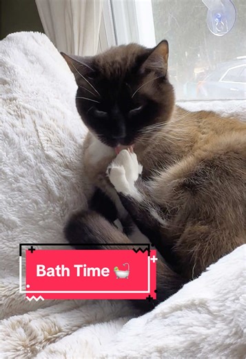 Creative Ladybug Craft Ideas for Kids