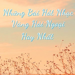 Những Bài Hát Nhạc Vàng Hải Ngoại Hay Nhất - Various Artists | NHAC.VN