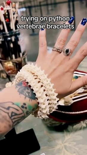 Oddities & Curiosities Expo | 🦴 fantastic give me 14 of em right now Find the best weird stuff at @odditiesandcuriositiesexpo — like python vertebrae bracelets by... | Instagram