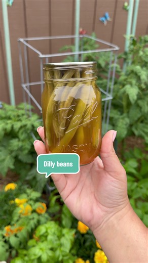 Dilly Beans Recipe — Easy Canned Pickled Green Beans (Pint Jars)