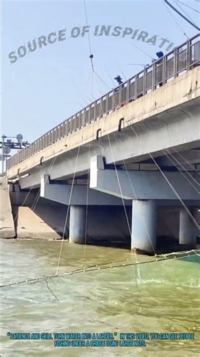 Bridge Fishing: Catching Fish with Nets Under the Bridge