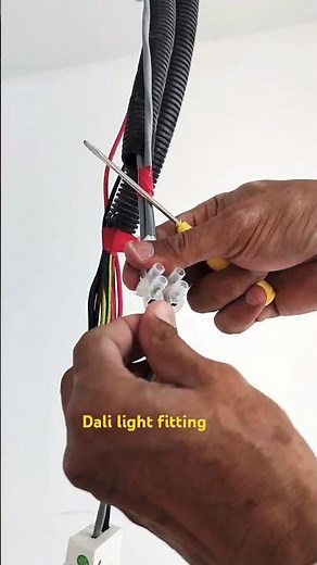 Dali light fitting #electrical #how #dali