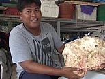 Fisherman finds 7kg piece of whale vomit that could sell for up to £210,000