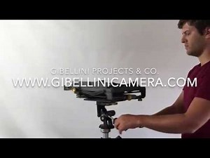 Using the Gibellini Camera N series