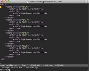 Vim Macros and Global commands (one)