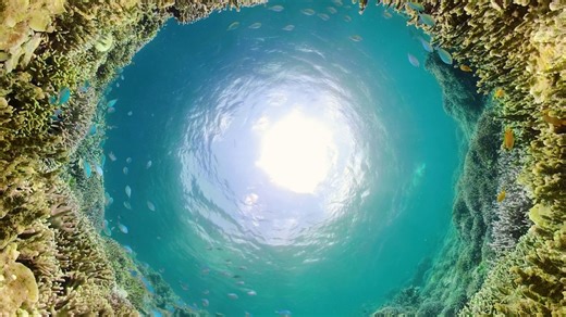 These 12 women are engineering a better future for our planet.