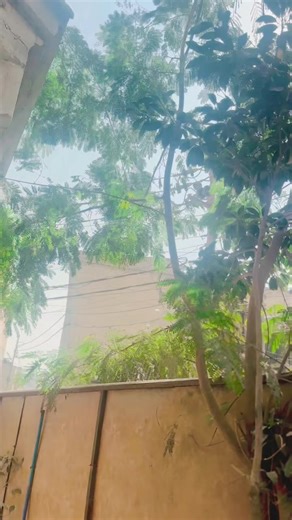 Dil de Beta Me sone Dhol nu 🥰❤️#Boxer #Arbaz