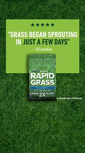 Rapid Grass is like a fast-forward button for grass growth! Turn those bare spots into a full, lush lawn 2X faster!* | Scotts Lawn Care
