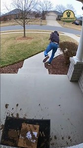 Porch Pirate Panics 🟫😱 (Caught On Ring Camera)