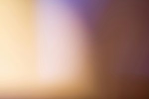 Does a Background Check Include a Credit Check? Explained