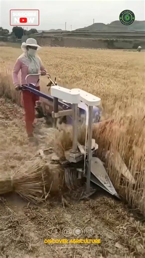 4.1M views · 582 reactions | Introducing the revolutionary...