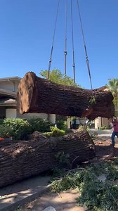 6.8K views · 67 reactions | Wood is the most environmentally friendly...