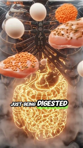 This is why the body needs protein #3danimation #shorts #health #protienfood #asmr #anatomyanimation