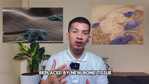 Understanding Bone Remodeling: Facts and Prevention Tips