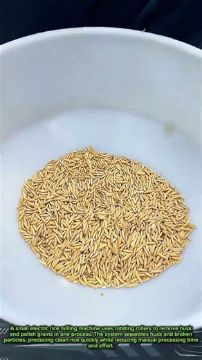 Compact Rice Milling Machine Turns Raw Grain Into Clean Rice Fast
