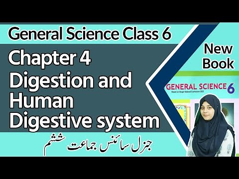 Class 6 Science Chapter 4 - Digestion and Human Digestive system-6th Class General Science Chapter 4