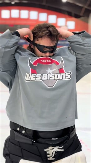 Best Hockey Goals and Goalies Highlights