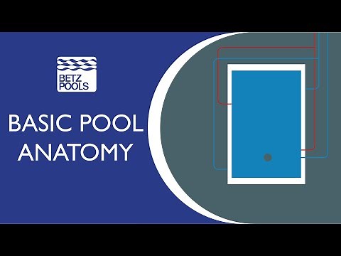 Basic Pool Anatomy