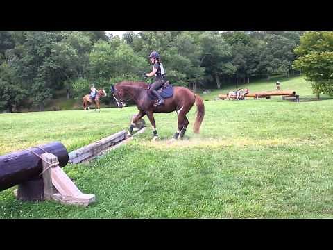 NAILED IT - Hesitant Horse Masters a Ditch