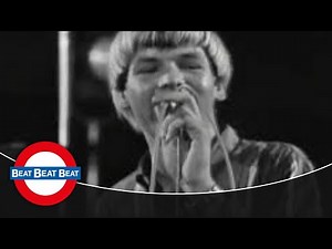 The Shapes - Pretty Flamingo (1966)