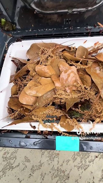 Save Time & Money: Smart Pool Cleaning Robot