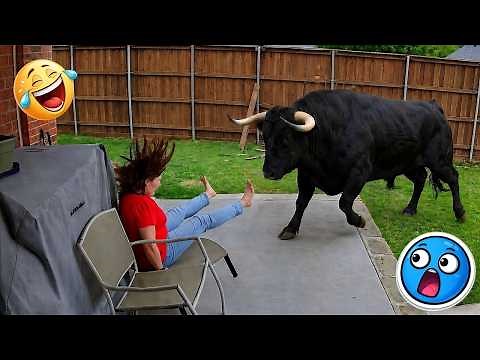 Top 200 Funniest Videos Ever || Best Funny Compilations 😂 TRY NOT TO LAUGH CHALLENGE