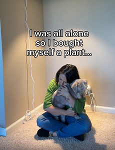 329K views · 8.2K reactions | And that’s how I grew a collection with 200+ houseplants #houseplants #plantcollection | PlantswithKrystal | Facebook