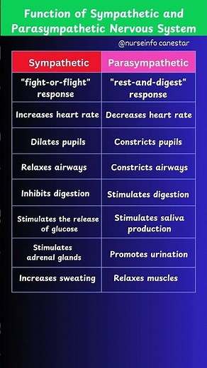 Functions of Sympathetic and Parasympathetic Nervous System #nervoussystem