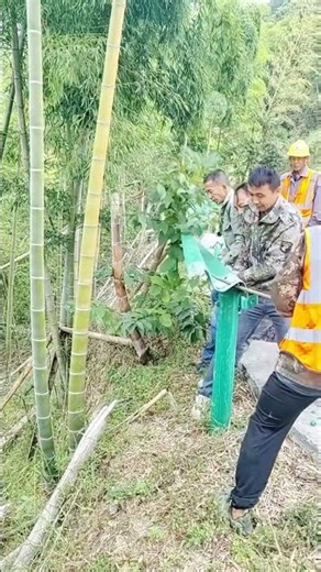 Install metal guardrails along the road