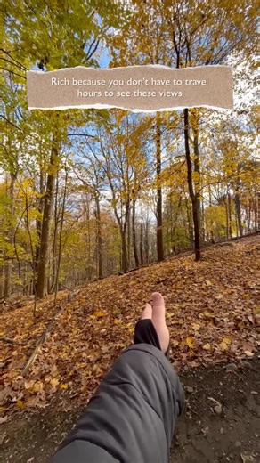 1.9K views · 63 reactions | #OptOutside this weekend and enjoy fall scenery in your Metro Parks. And don’t forget — the 62nd annual Fall Hiking Spree ends November 30. There’s still time to get those final hikes completed! 量 | Summit Metro Parks | Facebook