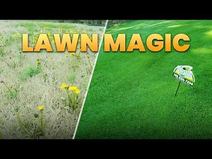 Spring Lawn Tips for Zoysia Compared to Bermuda
