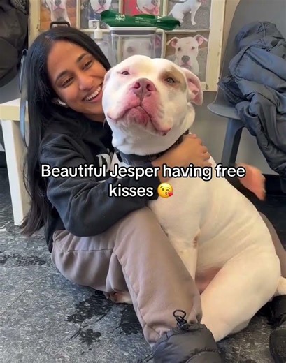 By joining our RESCUE with a monthly donation of your choice, you help change & save countless lives