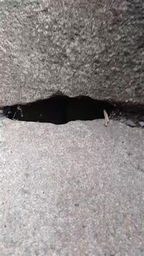 Dropping an item down a hole every day for every single follower till 1 million followers