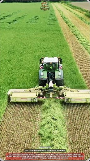 Grass Cutting Machine Harvesting 3000 m2 During Farming Work