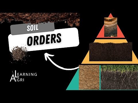 Soil Orders and the Hierarchy of Soil Taxonomy